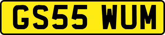GS55WUM