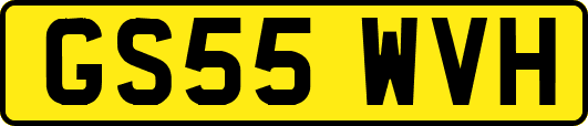 GS55WVH