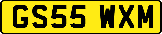 GS55WXM