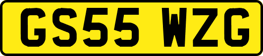 GS55WZG