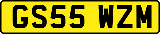 GS55WZM