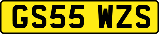 GS55WZS