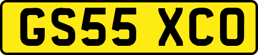 GS55XCO