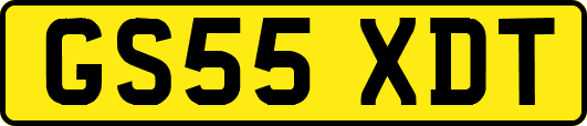 GS55XDT
