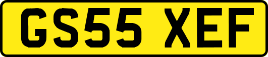 GS55XEF