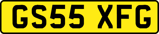 GS55XFG