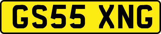 GS55XNG
