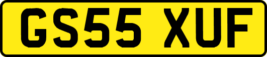 GS55XUF