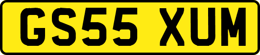 GS55XUM