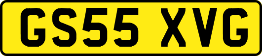 GS55XVG