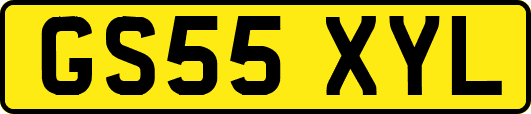 GS55XYL