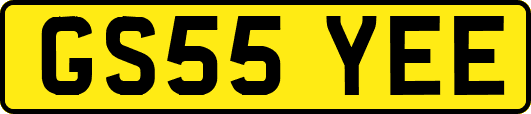 GS55YEE