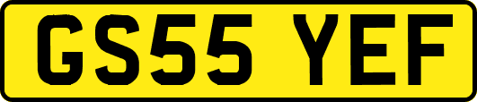 GS55YEF