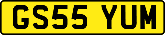 GS55YUM