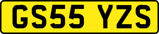 GS55YZS