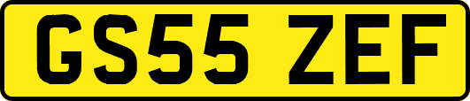 GS55ZEF