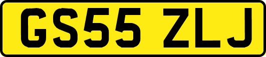 GS55ZLJ
