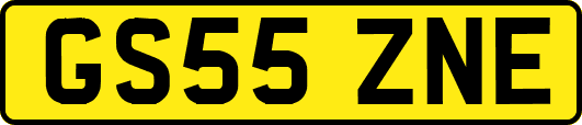 GS55ZNE
