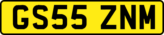 GS55ZNM