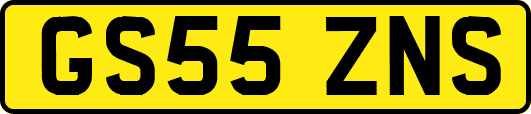 GS55ZNS