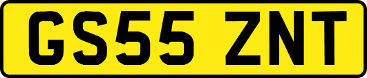 GS55ZNT