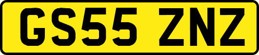 GS55ZNZ
