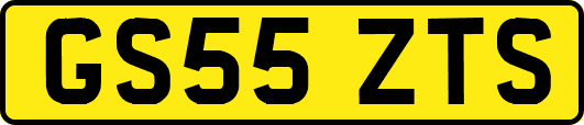 GS55ZTS