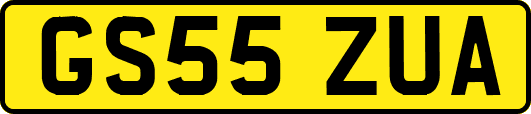 GS55ZUA