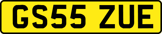 GS55ZUE
