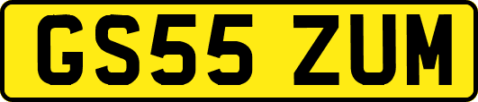 GS55ZUM