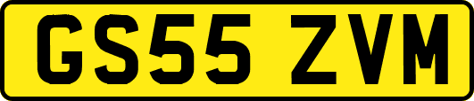 GS55ZVM