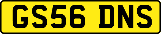 GS56DNS