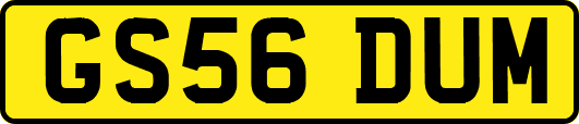 GS56DUM