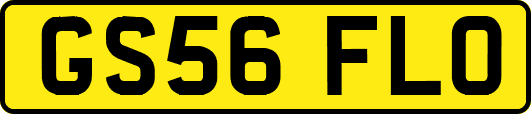 GS56FLO