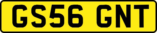 GS56GNT