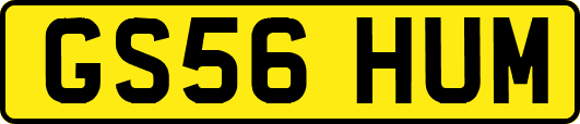 GS56HUM
