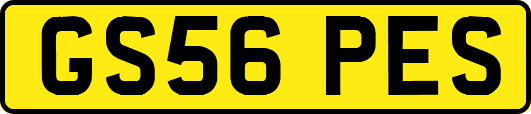 GS56PES
