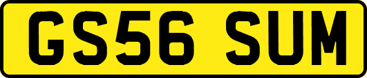 GS56SUM