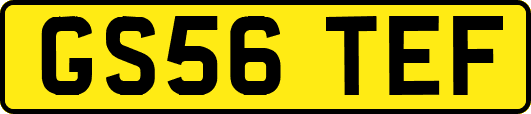 GS56TEF