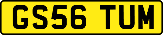 GS56TUM
