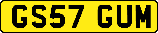 GS57GUM