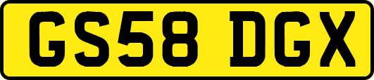 GS58DGX