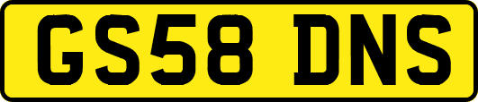 GS58DNS