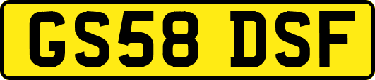 GS58DSF