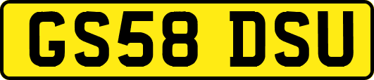 GS58DSU