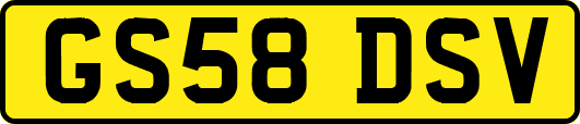 GS58DSV