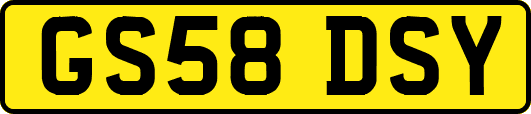 GS58DSY