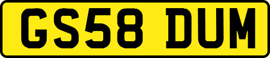 GS58DUM
