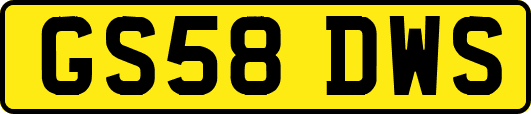 GS58DWS