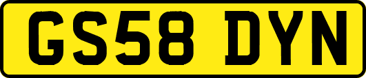 GS58DYN